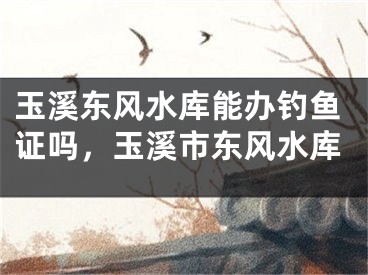 玉溪东风水库能办钓鱼证吗,玉溪市东风水库