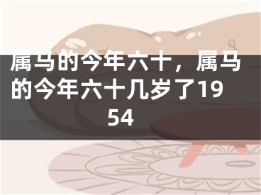 属马的今年六十,属马的今年六十几岁了1954