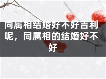 同属相结婚好不好吉利呢，同属相的结婚好不好