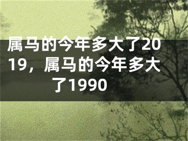 属马的今年多大了2019，属马的今年多大了1990