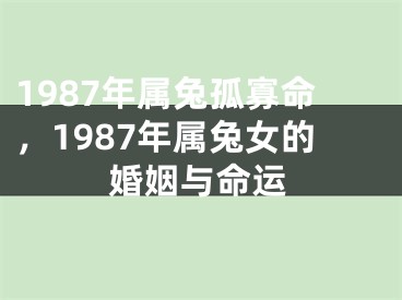 1987年属兔孤寡命,1987年属兔女的婚姻与命运