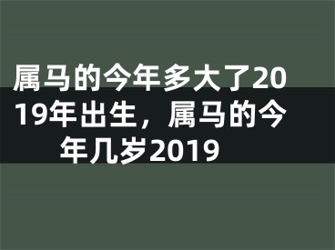 属马的今年多大了2019年出生，属马的今年几岁2019