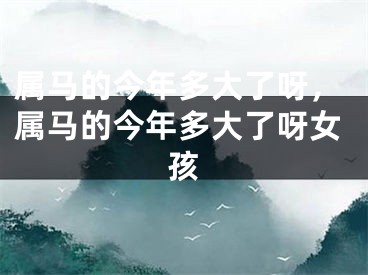 属马的今年多大了呀，属马的今年多大了呀女孩