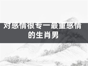 对感情很专一最重感情的生肖男