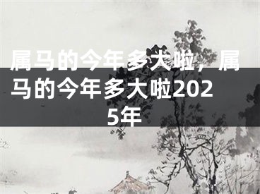 属马的今年多大啦，属马的今年多大啦2025年