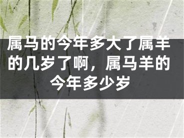 属马的今年多大了属羊的几岁了啊，属马羊的今年多少岁