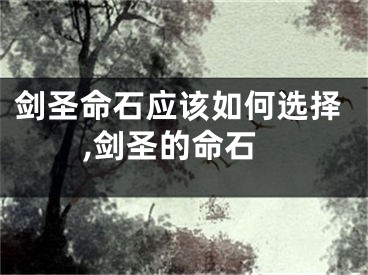 剑圣命石应该如何选择,剑圣的命石