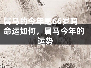 属马的今年是66岁吗命运如何，属马今年的运势