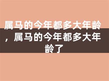 属马的今年都多大年龄，属马的今年都多大年龄了