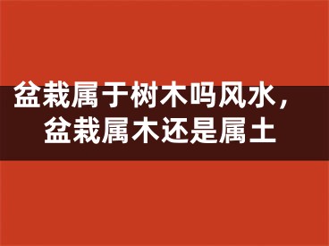 盆栽属于树木吗风水，盆栽属木还是属土