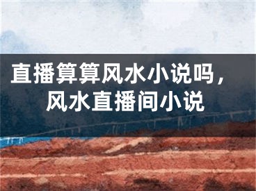 直播算算风水小说吗，风水直播间小说