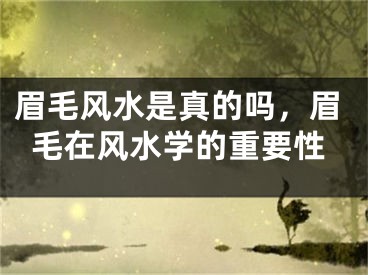 眉毛风水是真的吗，眉毛在风水学的重要性