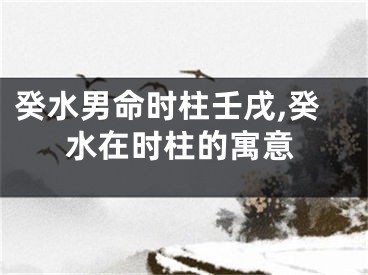 癸水男命时柱壬戌,癸水在时柱的寓意