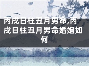 丙戌日柱丑月男命,丙戌日柱丑月男命婚姻如何