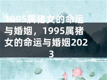 1995属猪女的命运与婚姻，1995属猪女的命运与婚姻2023