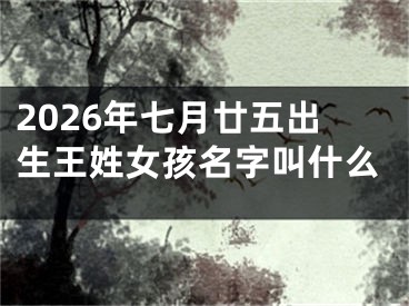 2026年七月廿五出生王姓女孩名字叫什么