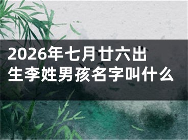 2026年七月廿六出生李姓男孩名字叫什么