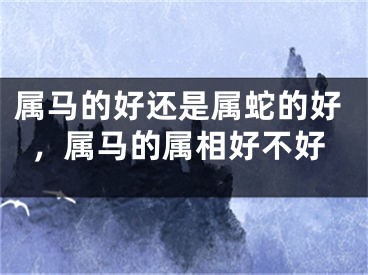 属马的好还是属蛇的好，属马的属相好不好