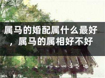 属马的婚配属什么最好，属马的属相好不好