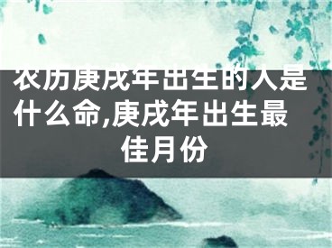 农历庚戌年出生的人是什么命,庚戌年出生最佳月份
