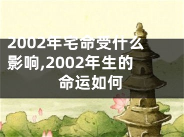 2002年宅命受什么影响,2002年生的命运如何