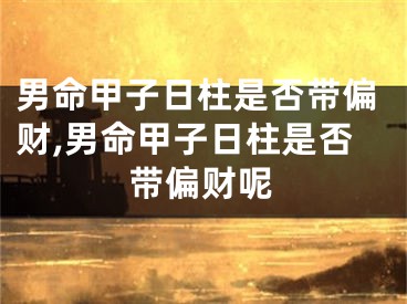 男命甲子日柱是否带偏财,男命甲子日柱是否带偏财呢