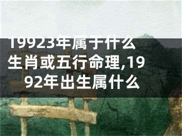19923年属于什么生肖或五行命理,1992年出生属什么