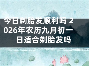 今日剃胎发顺利吗 2026年农历九月初一日适合剃胎发吗