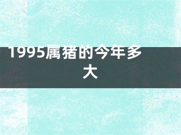 1995属猪的今年多大