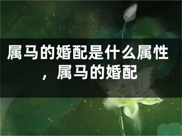 属马的婚配是什么属性，属马的婚配