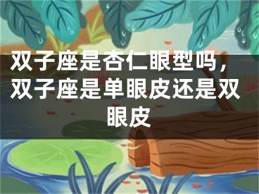 双子座是杏仁眼型吗，双子座是单眼皮还是双眼皮