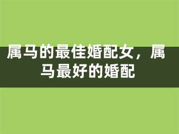 属马的最佳婚配女，属马最好的婚配