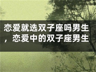 恋爱就选双子座吗男生，恋爱中的双子座男生
