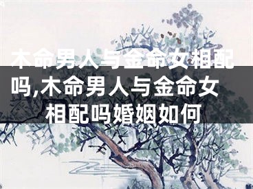 木命男人与金命女相配吗,木命男人与金命女相配吗婚姻如何
