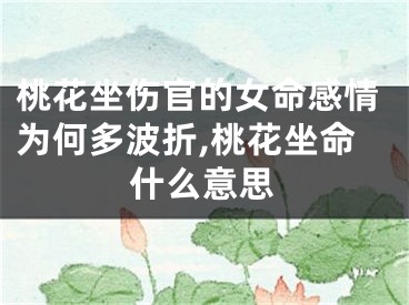 桃花坐伤官的女命感情为何多波折,桃花坐命什么意思