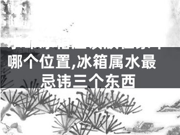 水命冰箱应该放在家中哪个位置,冰箱属水最忌讳三个东西