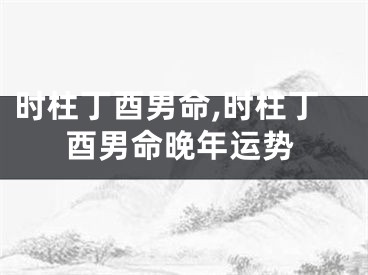 时柱丁酉男命,时柱丁酉男命晚年运势