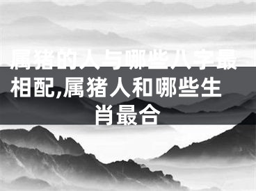 属猪的人与哪些八字最相配,属猪人和哪些生肖最合