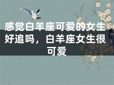 感觉白羊座可爱的女生好追吗，白羊座女生很可爱