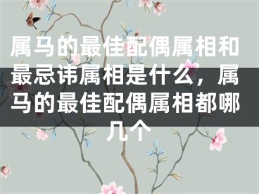 属马的最佳配偶属相和最忌讳属相是什么，属马的最佳配偶属相都哪几个
