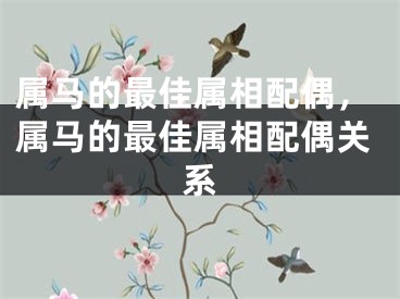 属马的最佳属相配偶，属马的最佳属相配偶关系