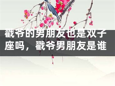 戳爷的男朋友也是双子座吗，戳爷男朋友是谁