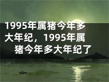 1995年属猪今年多大年纪，1995年属猪今年多大年纪了