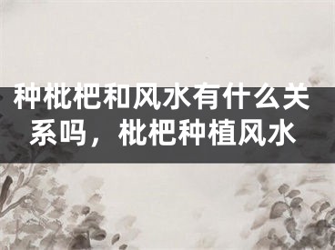 种枇杷和风水有什么关系吗，枇杷种植风水