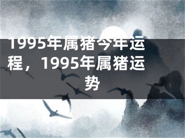1995年属猪今年运程，1995年属猪运势