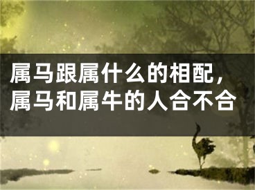属马跟属什么的相配，属马和属牛的人合不合