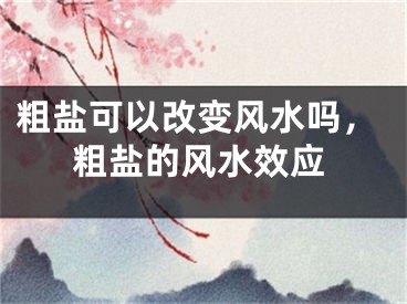 粗盐可以改变风水吗,粗盐的风水效应