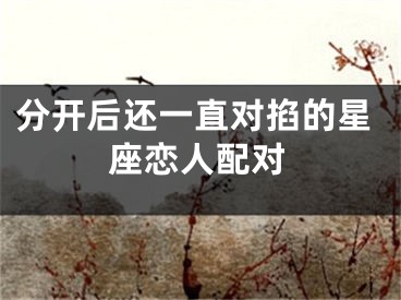 分开后还一直对掐的星座恋人配对