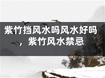紫竹挡风水吗风水好吗，紫竹风水禁忌