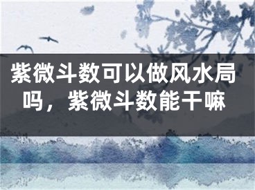 紫微斗数可以做风水局吗，紫微斗数能干嘛